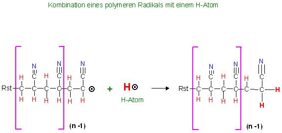 Kombination eines polymeren Radikals mit einem H-Atom Polmer. Acrylnitril.JPG