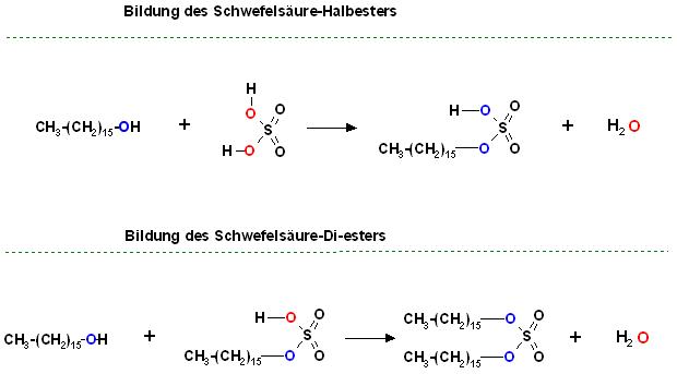 Schwefelsäure-halbester und Vollester Hexadecanol.JPG