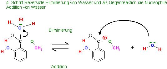 Reversible Eliminierung H2O-Nucleophile Add.JPG