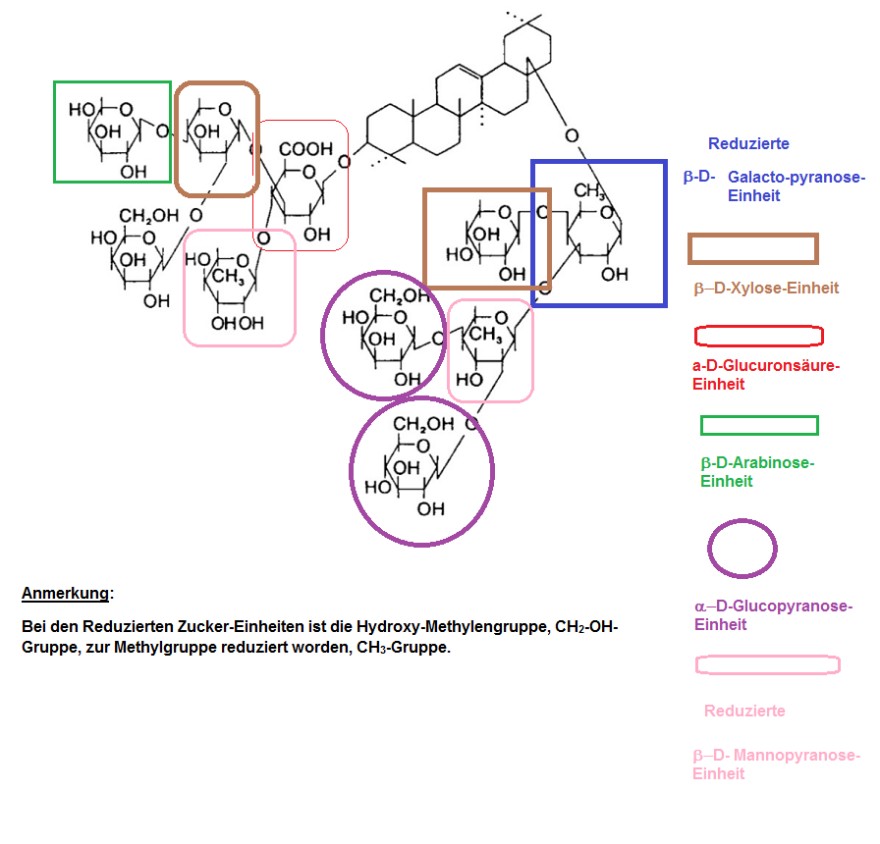 Saponin-Zucker-Einheiten.png