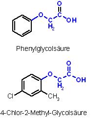Phenylglycolsäuren.JPG