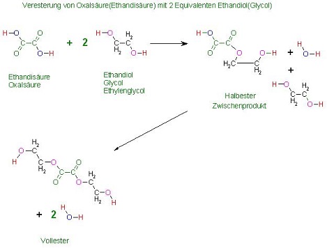 Veresterung von Oxalsäure(Ethandisäure) mit 2eq. Glycol(Ethandiol) res 3 zu 4.jpg