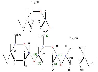 0,75 Amylopektin.JPG