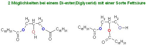 2 Möglichkeiten bei einem Di-ester(Diglycerid) mit einer Sorte Fettsäure.JPG