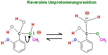 Reversible Umprotonierungsreaktion.JPG