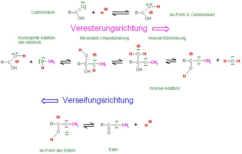 Mechan. Veresterung, Säurekatalysiert.JPG