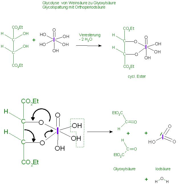 Glycolspaltung v. Weinsäure zu Glyoxylsäure.JPG