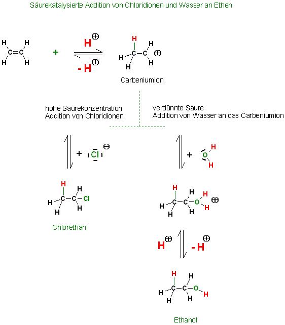 Additon von H2O und HCl an Ethen via Carbeniumion.JPG