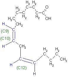 Linolsäure, Z,Z-9,12-Octadeca-diensäure.JPG