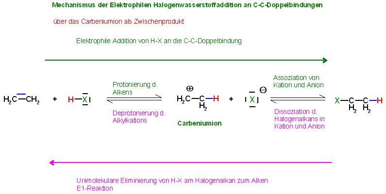 Mechanismus Elektrophile Addition und E1-Reakt. Ethen + H-X.JPG