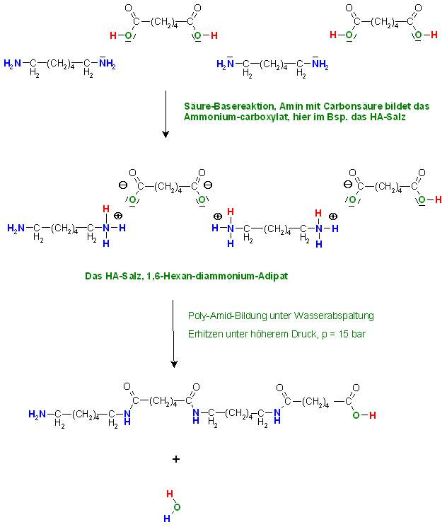 HA-Salz und Polyamidbildung.JPG