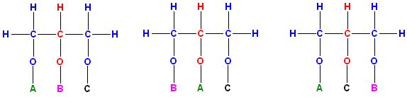 3 Konstitutions-Isomere Triglyceride ABC.JPG