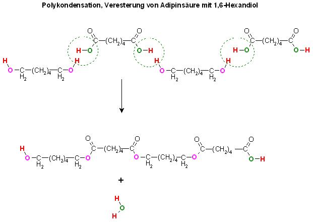 Polykondensation, Veresterung von Adipinsäure mit 1,6-Hexandiol.JPG