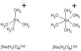 [Na(H2O)4-6]+.JPG