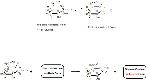 GOD Glucose zu Gluconolacton.jpg