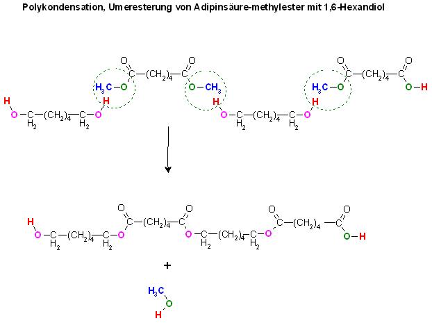 Polykondensation, Umeresterung von Adipinsäure-methylester mit 1,6-Hexandiol.JPG