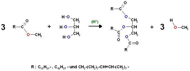 Fettsäure-methylester Glycerin Umesterung.JPG