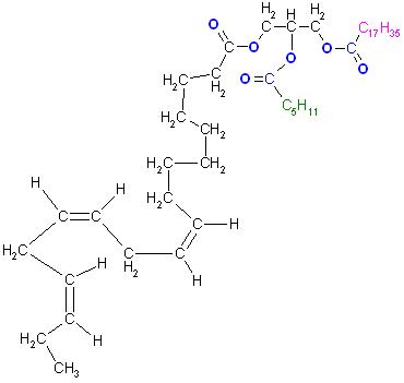 Triglycerid, Linolen-,Hexan-,Stearin-,.JPG