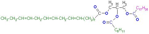 Triglycerid, Linolen-,Hexan-,Stearin-abgk..JPG