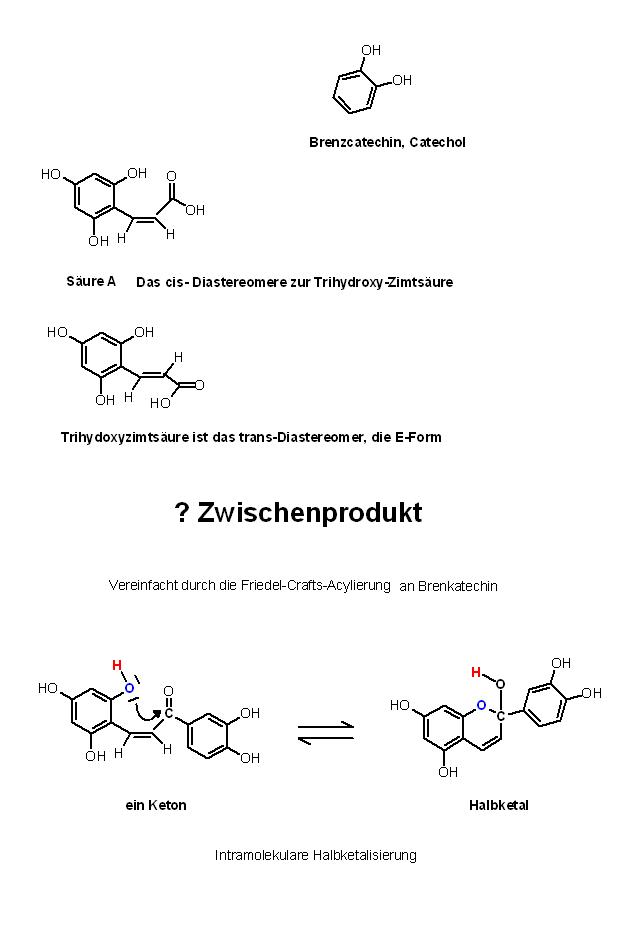 Tihydroxyzimtsäure-E-Form-FC-Acylierung an Brenzcatechin.JPG