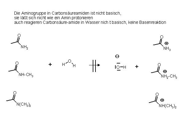 Carbosäureamide keine Basenreaktion.JPG