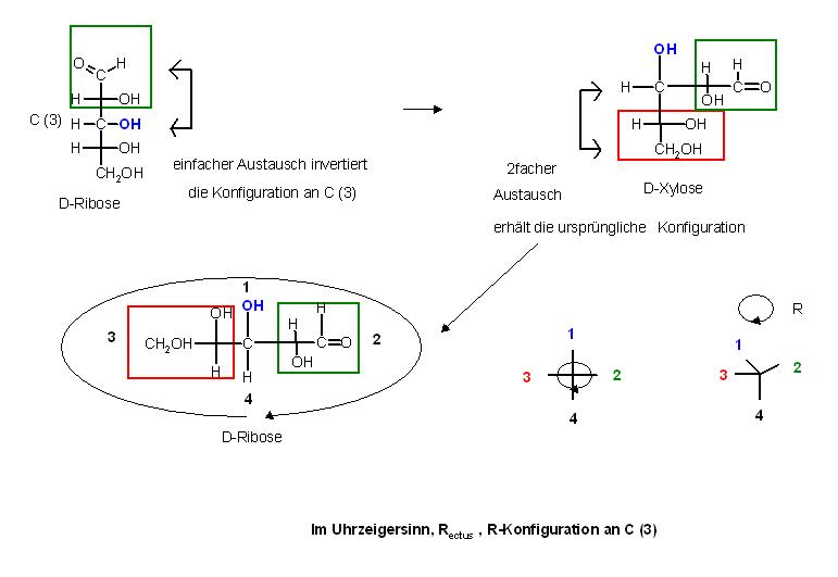 R-S-Konfigration an C-3 von D-Ribose.JPG