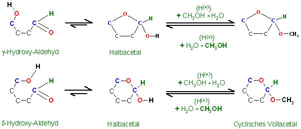 Gamma- und Delta-Hydroxy-Aldehyde Vollacetalisierung d. Halbacetale.JPG