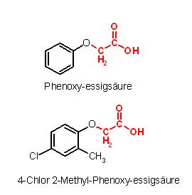Phenoxy-aceticacid.JPG
