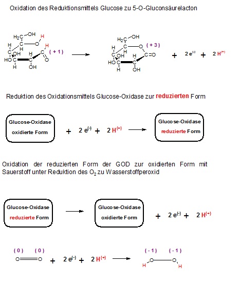 Redoxreaktionsteilgl. GOD und Glucose.jpg