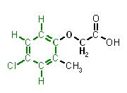Cl-Phenoxy-essigsäure.JPG