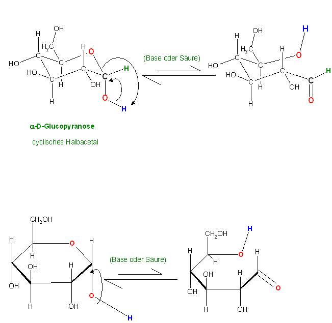 Ringöffnung alpha-D-Glucose.JPG