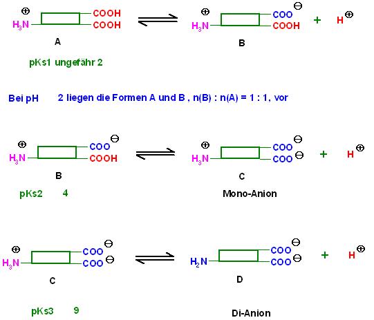 Tripeptid-pKs-Werte Dissoziationen.JPG