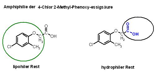 amphi Ar-CH2-COOH.JPG