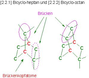 Bicyclen-Aufbau.JPG